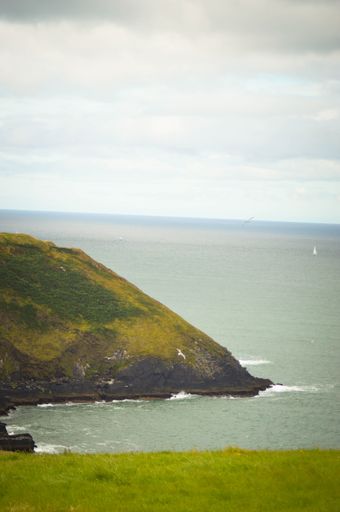 An aerial vertical shot of the shore of the sea covered with green grass and mountains