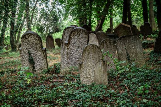 A horizontal shot of an old Jewish cemetery with trees and ground covered in moss and plants