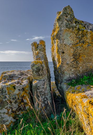 A vertical shot of cliffs on the seashore with the sea in the background