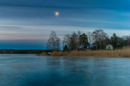 A landscape view of the frozen lake with deciduous trees and a moon in the night sky