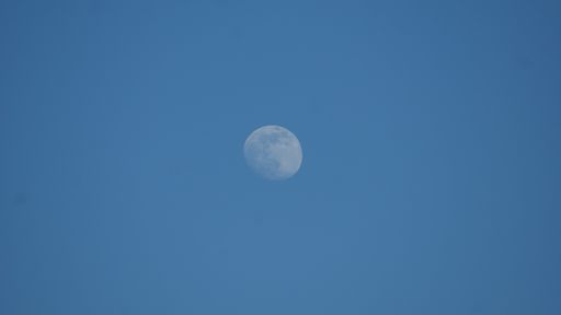 The daylight white full moon isolated in the clear blue sky - perfect wallpaper