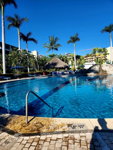 A vertical shot of a pool and green palm trees in a resort under the blue sky