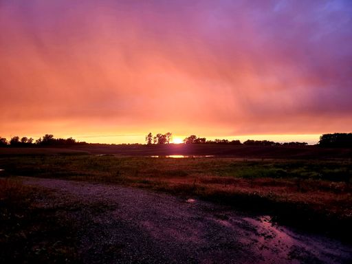 A scenic shot pinkish clouds over a field after a rain in the evening