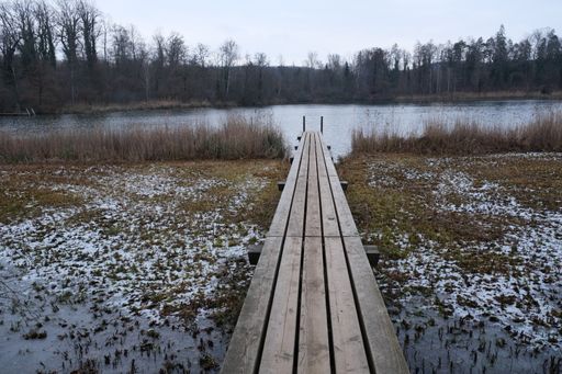 A horizontal shot of a Jetty leading to the lake in winter at Husemersee in Switzerland