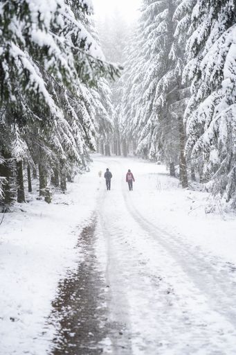 A vertical beautiful shot of fir trees covered in snow on an icy road during cold winter with people