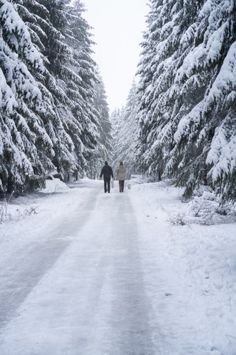 A vertical beautiful shot of fir trees covered in snow on an icy road during cold winter with people