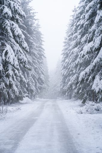 A vertical beautiful shot of fir trees covered in snow on an icy road during cold winter