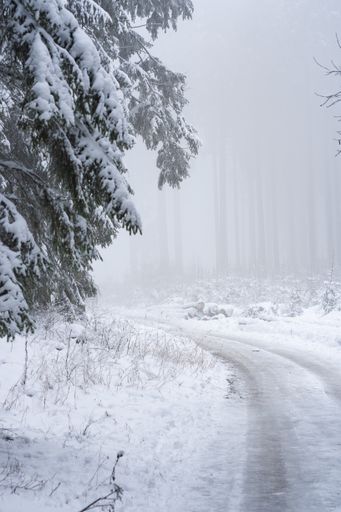 A vertical beautiful shot of fir trees covered in snow on an icy road during cold winter