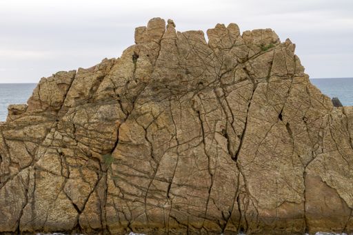 A closeup shot of a cliffy seashore near a wavy sea under a cloudy sky