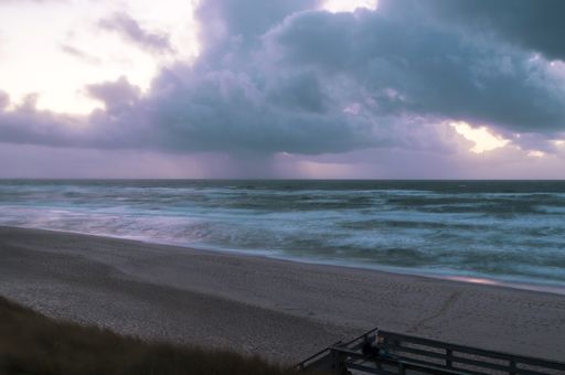 A beach covered in greenery surrounded by the sea under a cloudy sky at the Island Sylt in Germany