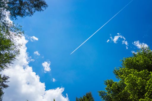An airplane trail against a bright blue sky with few clouds and leaves on the side