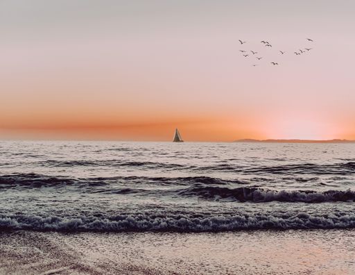 A sailing boat from the shore of the sea during sunset