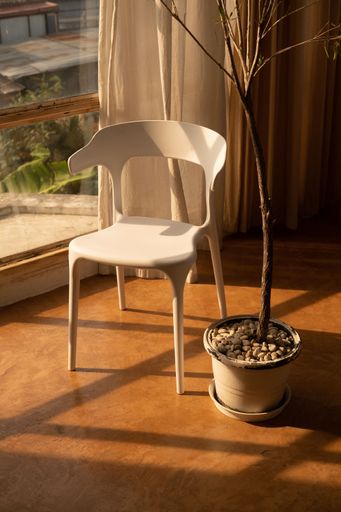 A modern white chair next to a decorative potted plant on a natural wood laminate floor