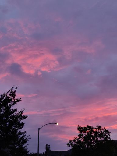 A vertical shot of silhouette of trees against a magical colorful sky during sunset