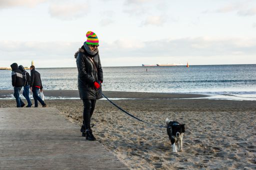 Woman and dog on a line standing on a sandy beach in the winter season.