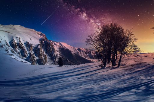 A beautiful shot of snowy forest