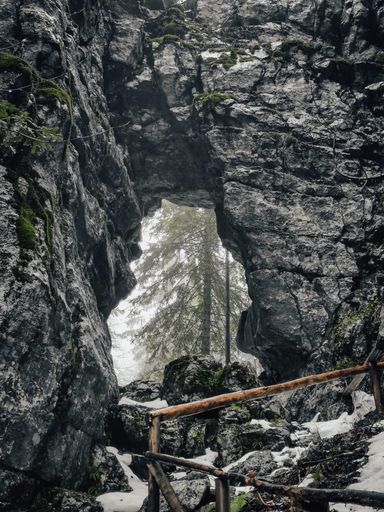 A vertical shocliff with a hole in the middle and a tall tree in the background