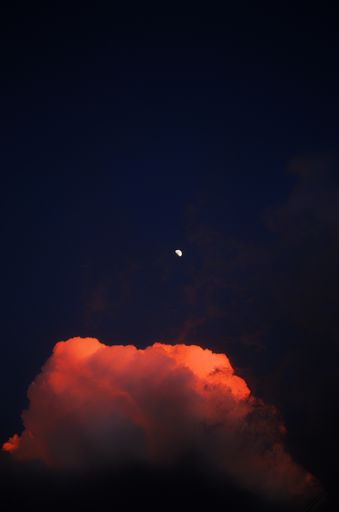 A vertical shot of a wonderful moon in a pink sky
