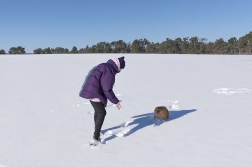 A shallow focus shot of a young female playing with her Pomeranian dog on a snow