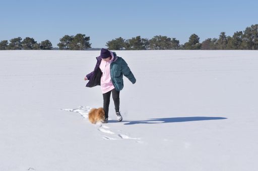 A shallow focus shot of a young female playing with her Pomeranian dog on a snow