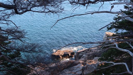 A beautiful view of a sea with a rocky coastline through the tree branches