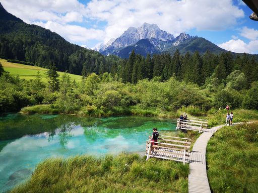 A drone shot of a small group of people visiting Zelenci Nature Reserve on a sunny day in Podkoren, Slovenia