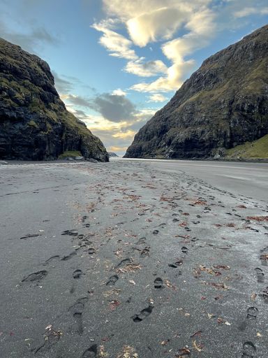 A picturesque beach, featuring a sandy shoreline and a set of footprints leading up to the horizon
