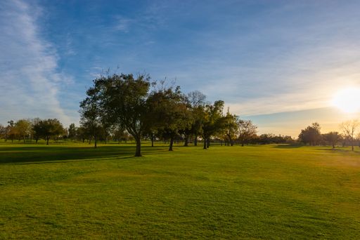 A lush, sun-soaked park with vibrant green grass and trees illuminated by the golden light