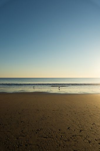 A vertical shot of a sandy beach on calm sea background