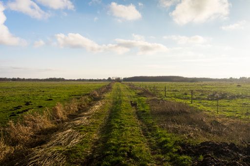 A beautiful shot of a green field under the bright cloudy sky in Northern Germany