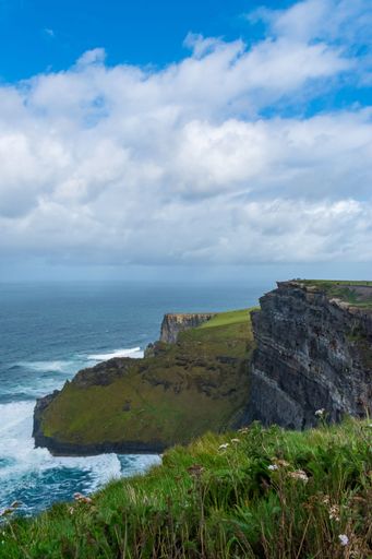 A lush, green grassy field with gentle waves lapping against the cliffs on a cloudy day