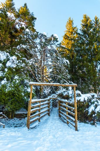 A beautiful shot of the wooden entrance to the frosted forest during the winter season in Oiertzun, Basque, Spain