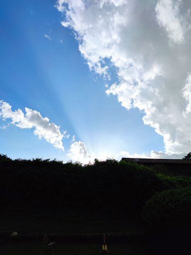A vertical shot of a bright shining blue sky over a park