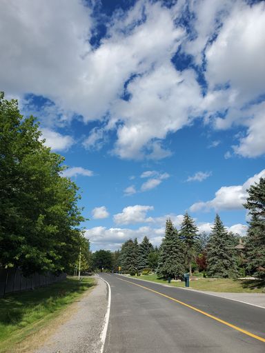 A vertical shot of the narrow road between the fir forest trees against a blue clouded sky
