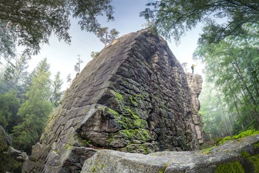 A low-angle shot of a big rock in the green jungle.