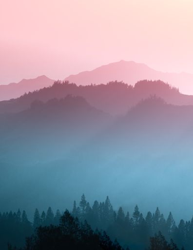 A vertical shot of a foggy forest on pink sunset background