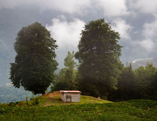 A scenic view of a rustic wooden cabin in the forested mountains of Iran