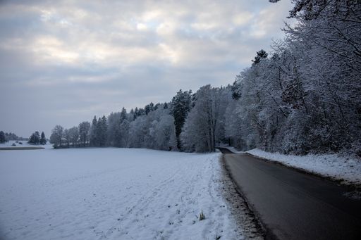 A narrow road through a snowy field and frosty trees