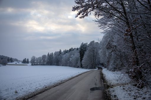 An asphalt road trough the countryside in winter