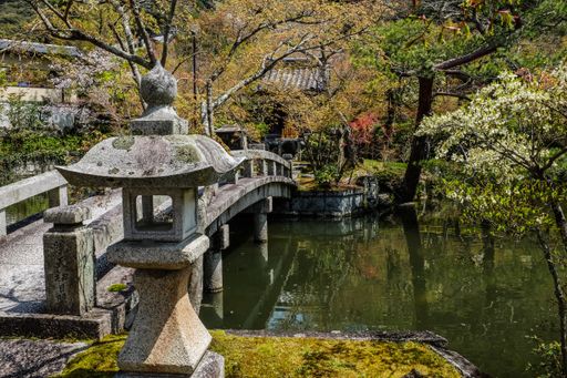 A mesmerizing scenery of a beautiful garden full of different kinds of plants and a lake in China