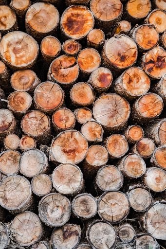 A pile of cut timber forming backgroundpattern