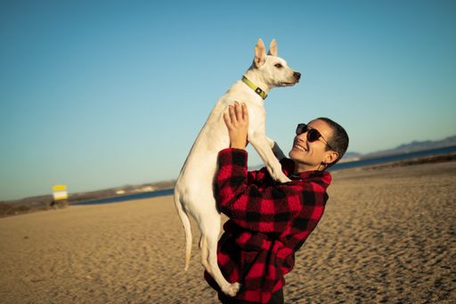 A shallow focus shot of a female with sunglasses playing with her white dog on the beach