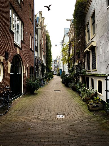 A vertical shot of an empty street surrounded by buildings in Amsterdam