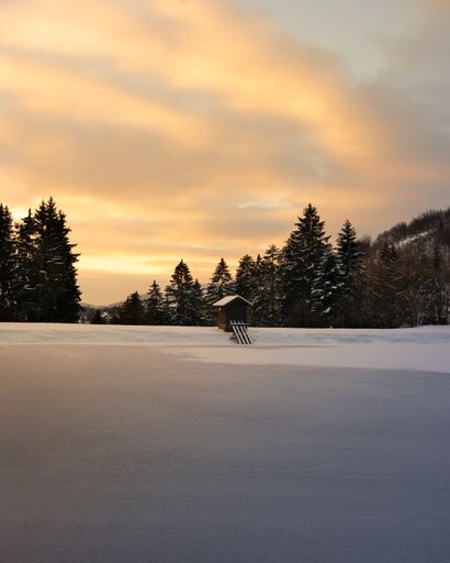A vertical shot of a frozen field with a tiny house and a forest covered with snow