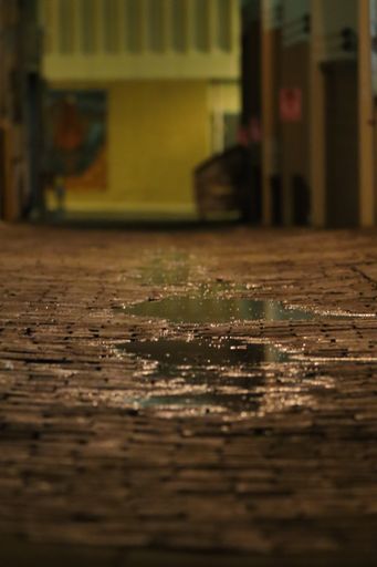 A vertical shot of water on a walkway made of small square rocks