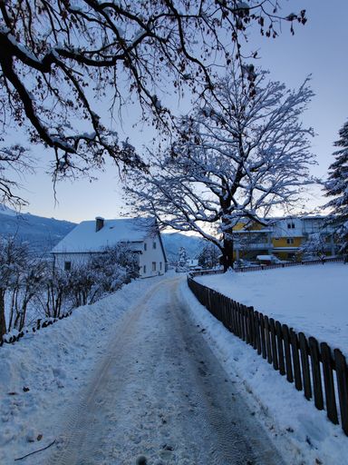 A vertical shot of a road in the park covered with snow in the winter