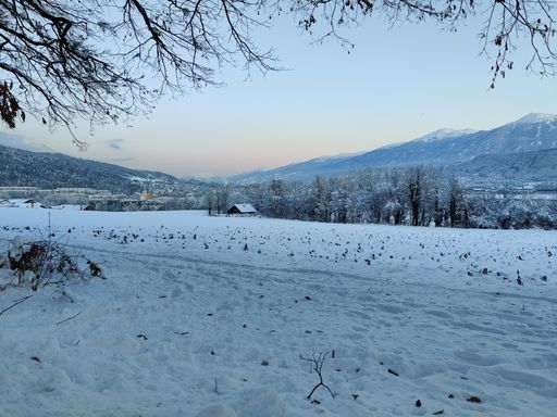 The beautiful view of mountains and trees covered with snow and fog in the winter evening