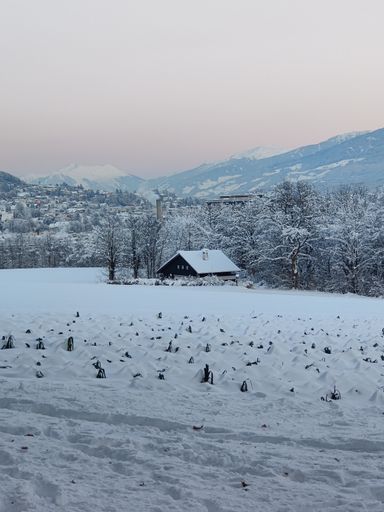A vertical shot of a village and mountains covered with snow in the winter evening