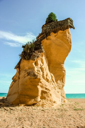 A rock covered in mosses on the Albufeira beach surrounded by the sea in Portugal