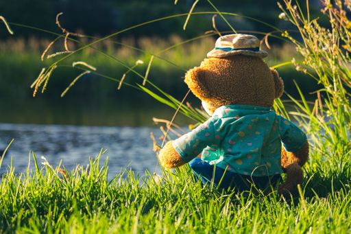 A shot of a soft toy from the backside sitting on the grass near the riv in the daytime